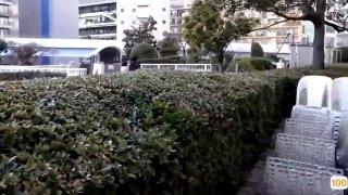 91视频全国免费播放